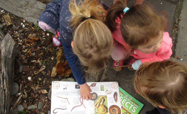 Science ECE Insights Image