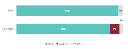 Figure 28 is a graph showing Māori and non-Māori teachers’ enjoyment of teaching ANZ Histories.  96% of Māori teachers agree that they enjoy teaching ANZ Histories. 4% are not sure. 88% of non-Māori teachers agree that they enjoy teaching ANZ Histories. 9% of non-Māori teachers disagree that they enjoy teaching ANZ Histories. 3% are not sure.