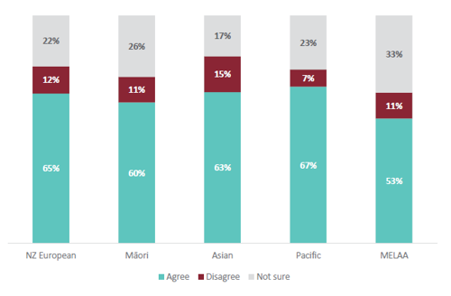 Figure 60 is a graph showing students’ agreement that their teacher makes them feel included when learning Social Sciences, for different ethnicities.  For NZ European students, 65% agree that their teacher makes them feel included when learning Social Sciences. 12% of NZ European students disagree that their teacher makes them feel included when learning Social Sciences. 22% are not sure. For Māori students, 60% agree that their teacher makes them feel included when learning Social Sciences. 11% of Māori students disagree that their teacher makes them feel included when learning Social Sciences. 26% are not sure. For Asian students, 63% agree that their teacher makes them feel included when learning Social Sciences. 15% of Asian students disagree that their teacher makes them feel included when learning Social Sciences. 17% are not sure. For Pacific students, 67% agree that their teacher makes them feel included when learning Social Sciences. 7% of Pacific students disagree that their teacher makes them feel included when learning Social Sciences. 23% are not sure. For MELAA students, 53% agree that their teacher makes them feel included when learning Social Sciences. 11% of MELAA students disagree that their teacher makes them feel included when learning Social Sciences. 33% are not sure.