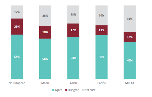 Figure 11 is a graph showing students’ agreement that they like to participate in class when learning about ANZ Histories, for different ethnicities.  For NZ European students, 58% agree that they like to participate in class when learning about ANZ Histories. 21% of NZ European students disagree that they like to participate in class when learning about ANZ Histories. 17% are not sure. For Māori students, 56% agree that they like to participate in class when learning about ANZ Histories. 18% of Māori students disagree that they like to participate in class when learning about ANZ Histories. 28% are not sure. For Asian students, 54% agree that they like to participate in class when learning about ANZ Histories. 17% of Asian students disagree that they like to participate in class when learning about ANZ Histories. 23% are not sure. For Pacific students, 58% agree that they like to participate in class when learning about ANZ Histories. 13% of Pacific students disagree that they like to participate in class when learning about ANZ Histories. 26% are not sure. For MELAA students, 44% agree that they like to participate in class when learning about ANZ Histories. 12% of MELAA students disagree that they like to participate in class when learning about ANZ Histories. 31% are not sure.