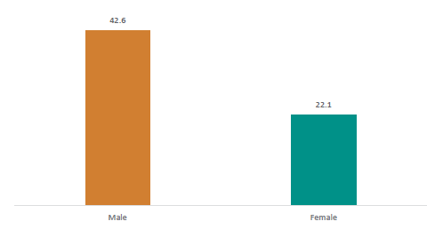 Figure forty-eight shows stand-downs rate per 1000 students by gender in 2022. Males have a rate of 42.6  and females have a rate of 22.1.